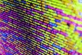 Digital technology modern background. Writing programming code on laptop. Application web source code on monitor. Software Royalty Free Stock Photo
