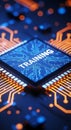 Digital training concept illustrated by a computer processor chip and circuitry design Royalty Free Stock Photo