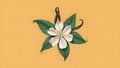 Digital Vanilla bean flower isolated with precise clipping path