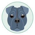 Digital vector boxer dog face