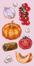 Digital vector detailed color vegetable hand drawn Royalty Free Stock Photo