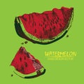 Digital vector detailed color watermelon hand Royalty Free Stock Photo