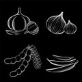 Digital vector detailed line art Chili, garlic, shallot, tamarind on black background