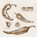 Digital vector detailed line art chili pepeper