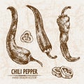 Digital vector detailed line art chili pepeper