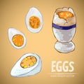 Digital vector detailed line art cooked egg