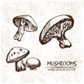 Digital vector detailed mushrooms hand drawn Royalty Free Stock Photo