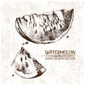 Digital vector detailed watermelon hand drawn Royalty Free Stock Photo