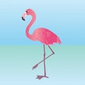 A digital vector illustration of a Pink flamingo