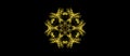 Vector Pattern of Yellow Snowflake