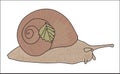 Digital vector snail with a small leaf Royalty Free Stock Photo