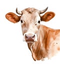 Digital watercolor art, cow on white background, colorful printable art Royalty Free Stock Photo