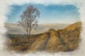 Digital watercolor painting of a lone Silver Birch tree