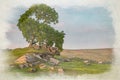 Digital watercolor painting of a lone tree at The Roaches