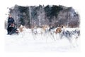 Digital watercolor painting of sled dogs, dogs running on snow, landscape with animal illustration