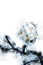 Digital watercolor painting of white flowers