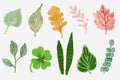 Digital watercolor set of leaves ,illustration.