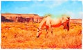 Watercolor of a horse in a field