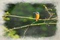 A digital watercolour painting of common Eurasian kingfisher, Alcedo atthis perched by a pond