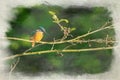 A digital watercolour painting of common Eurasian kingfisher, Alcedo atthis perched by a pond