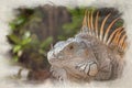 A digital watercolour painting of a green Iguana in a palm tree