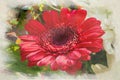 Digital watercolour painting of red Aster flowers in bloom