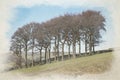 Digital watercolour painting of Twenty Trees at Hayfield in the Peak District National Park