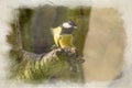 Digital watercolour paintng of a Great Tit, Parus major in a natural woodland setting