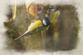 Digital watercolour paintng of a Great Tit, Parus major in a natural woodland setting