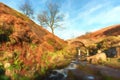 Digital watercolour of an autumnal waterfall and stone packhorse bridge at Three Shires Head in the Peak District. Royalty Free Stock Photo