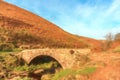 Digital watercolour of an autumnal waterfall and stone packhorse bridge at Three Shires Head in the Peak District. Royalty Free Stock Photo