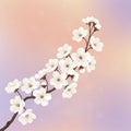 A digitally created image of a blossoming branch featuring delicate white flowers Royalty Free Stock Photo