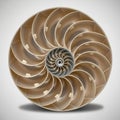 A digitally created image depicting a nautilus shell cross section Royalty Free Stock Photo