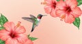 A digitally created image features a Ruby-throated Hummingbird (Archilochus Royalty Free Stock Photo