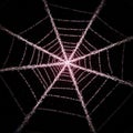 A digitally created image of a spider web made from binary code on a dark Royalty Free Stock Photo