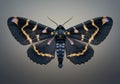 A digitally created moth with intricate design features dark blue wings lined by wavy, Royalty Free Stock Photo