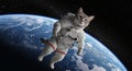 A digitally created scene depicts a cat wearing a white astronaut suit
