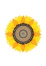 A digitally created sunflower features concentric Royalty Free Stock Photo