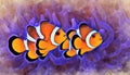 Digitally created watercolor painting of a pair of clownfish in an underwater environment