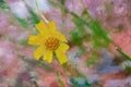 Digitally created watercolor painting of a stunning wild yellow Lanceleaf Coreopsis in the natural ecosystem