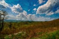 Digitally created watercolor painting of view of mountain top vista in Shenandoah National Park on Skyline Drive