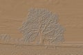 Digitally embossed image of a bare Oak tree Quercus on a winter`s day