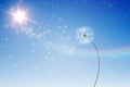 Digitally generated dandelions against blue sky