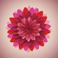 A digitally generated flower with a circular arrangement of layered petals in various Royalty Free Stock Photo