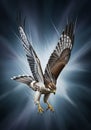 A digitally generated image of a bird of prey, possibly a hawk or an Royalty Free Stock Photo