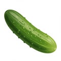 A digitally generated image of a cucumber (Cucumis sativus) with a glossy, smooth Royalty Free Stock Photo