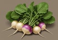 A digitally generated image depicting a bunch of turnips (Brassica rapa) with lush Royalty Free Stock Photo