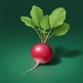 A digitally generated image of a radish (Raphanus sativus) with a smooth, round, red Royalty Free Stock Photo
