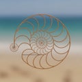 A digitally generated transparent nautilus shell pattern set against a blurred Royalty Free Stock Photo