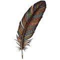 A digitally illustrated feather featuring intricate patterns and vibrant colors. The Royalty Free Stock Photo